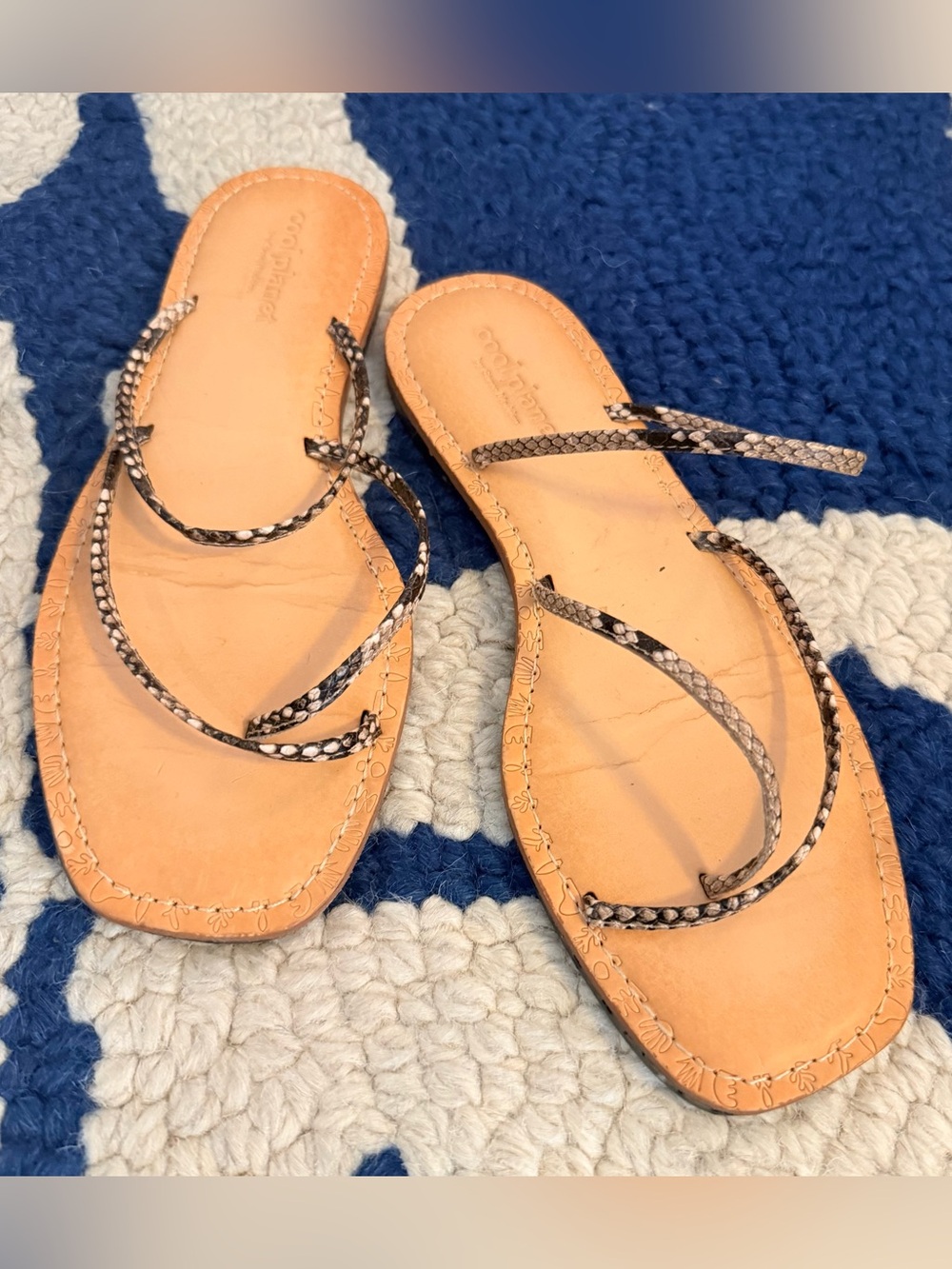 Cool Planet Steve Madden Snake Print Strappy Flat Sandal Leather Size 8 fits 7.5
